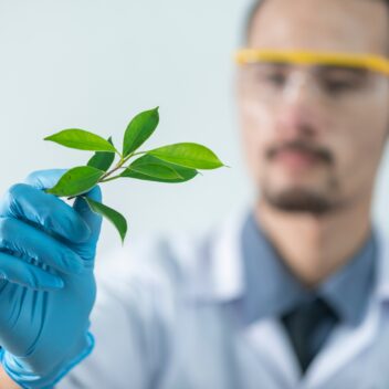 researcher with leafs